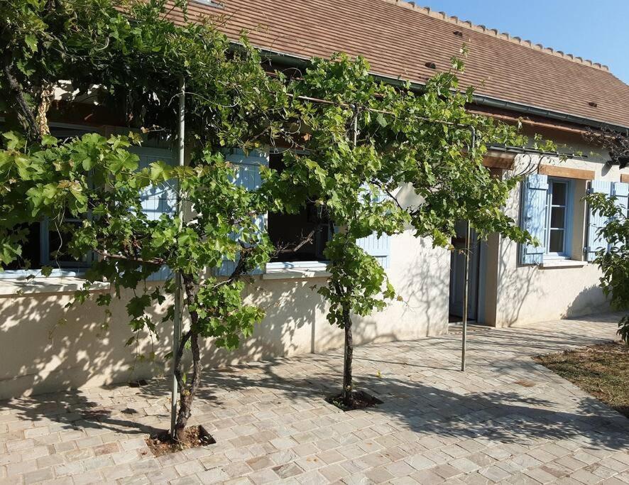 Les Annexes Villa Verdun-sur-le-Doubs Eksteriør billede