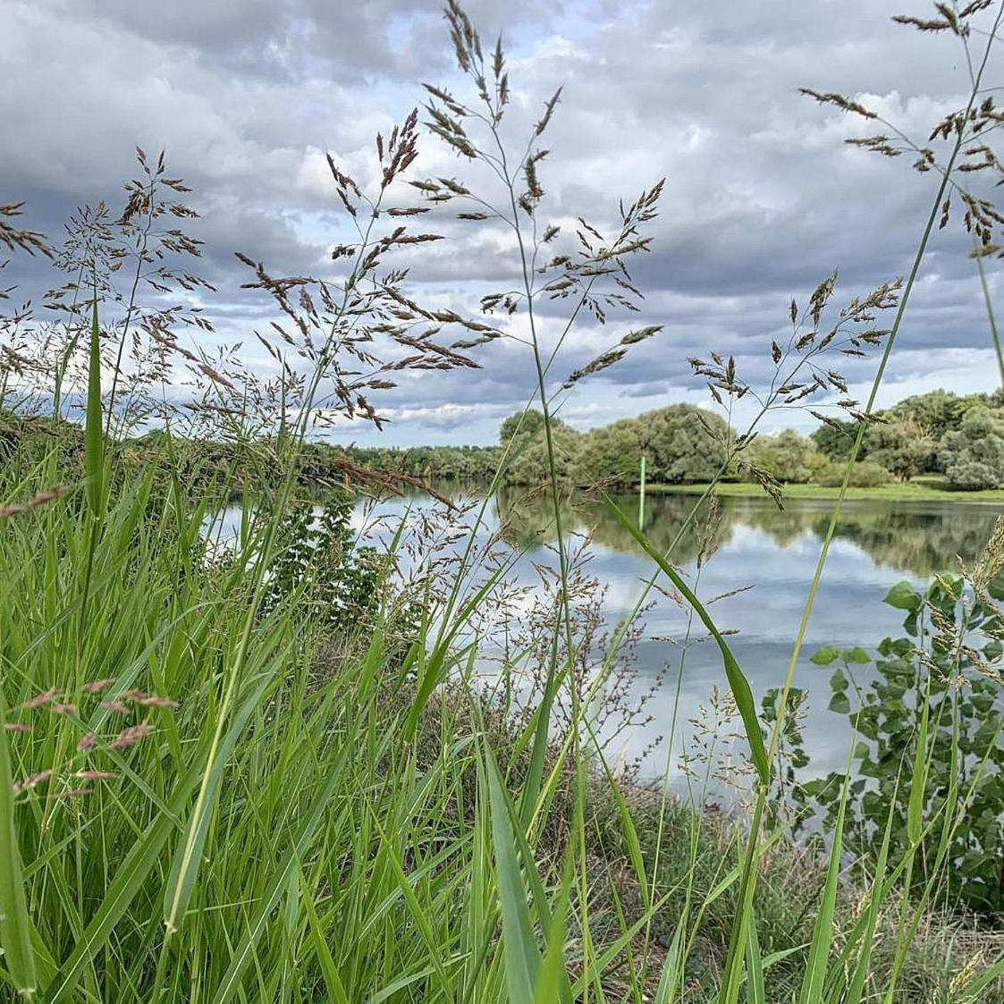 Les Annexes Villa Verdun-sur-le-Doubs Eksteriør billede
