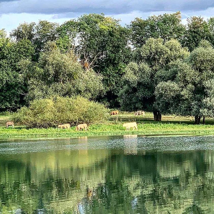 Les Annexes Villa Verdun-sur-le-Doubs Eksteriør billede